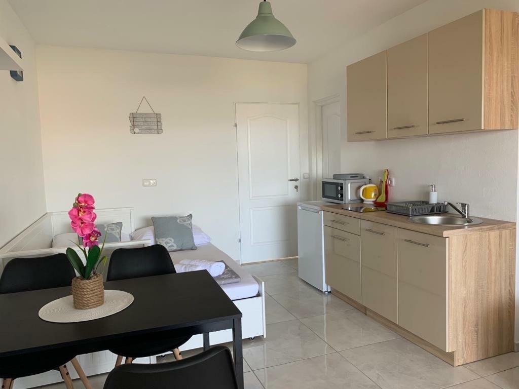 Apartament Nelany Zubovići Zewnętrze zdjęcie
