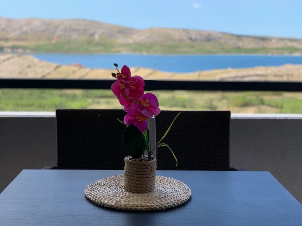 Apartament Nelany Zubovići Zewnętrze zdjęcie